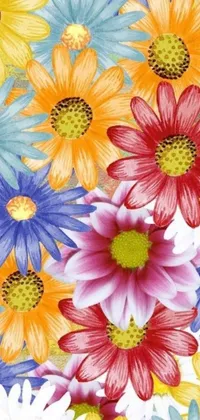 Flower Plant Colorful Live Wallpaper
