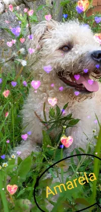This stunning live phone wallpaper features an adorable dog sitting in a lush green grassy field