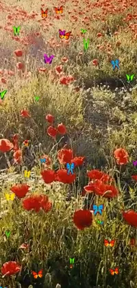 Flower Plant Ecoregion Live Wallpaper