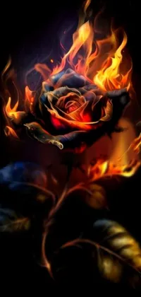 Get ready to spice up your phone's background with this stunning rose live wallpaper! The wallpaper features a bold and vibrant rose set against a sleek black backdrop with fiery flames emanating from its center