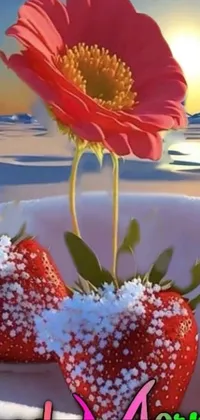 This phone live wallpaper features juicy strawberries sitting on snow-covered ground, tropical flowers, a peaceful sunrise, sparkling diamond, and crystallic sunflowers for a mesmerizing effect