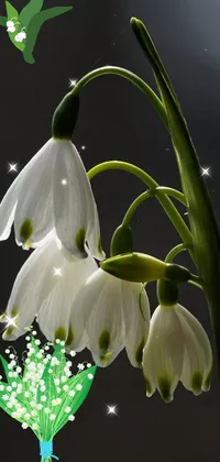 lily of the valley  Live Wallpaper