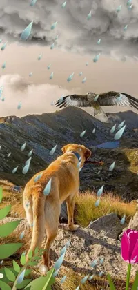 Looking for a beautiful live wallpaper? Check out this stunning design featuring a brown dog perched atop a vibrant green hillside! This magical realism masterpiece features a photomontage of feathers and glass shards raining down around the dog, as he surveys the surrounding landscape