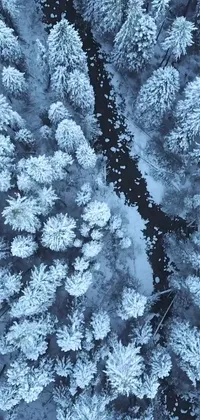 This live phone wallpaper features a snow-covered forest filled with trees, complete with snowfall animation and interactive features