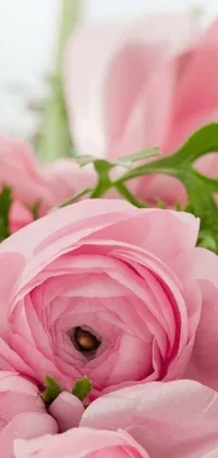 This phone live wallpaper features stunning close-up shots of pink anemones and roses