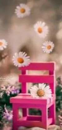 This phone live wallpaper showcases a charming pink chair in the midst of a blooming field of daisies