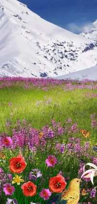 This phone live wallpaper showcases a colorful field of flowers situated in front of a panoramic mountain view