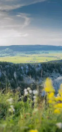 This phone live wallpaper showcases a breathtaking panoramic view of a man riding a horse through the rolling hills of Montana