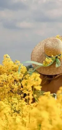 Get lost in a serene field of yellow flowers with this beautiful phone live wallpaper