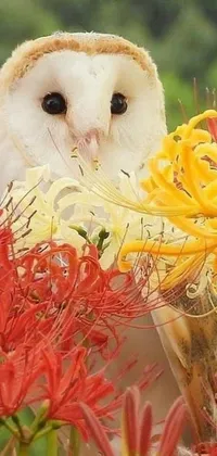 The phone live wallpaper showcases a breath-taking close-up of a bird amidst a field of vibrant flowers