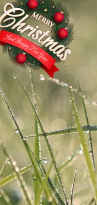 This phone live wallpaper showcases a Christmas wreath atop a green field with long grass in the foreground
