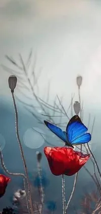 This phone live wallpaper showcases digital art of a charming blue butterfly resting on a bright red flower, set amidst a mesmerizing background featuring poppies, stars, a mosque, and a crescent moon