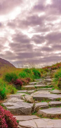 This phone live wallpaper features a picturesque stone path leading to the top of a hill, set against a stunning background of Irish mountains and lush valley flowers