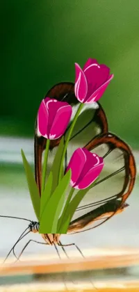 This phone live wallpaper depicts a close-up of a beautiful butterfly resting on a vibrant flower rendered through digital art