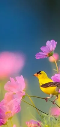 This live phone wallpaper features a yellow bird sitting on a purple flower amidst a background of pink flowers and varying seasons