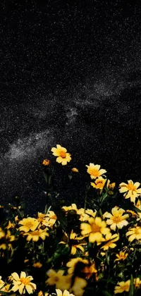 This live wallpaper features a serene field of yellow flowers under a night sky