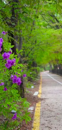Bring the beauty of nature to your phone screen with our new live wallpaper! This picturesque image features a peaceful road surrounded by lush greenery and a bunch of beautiful purple flowers swaying gently in the breeze