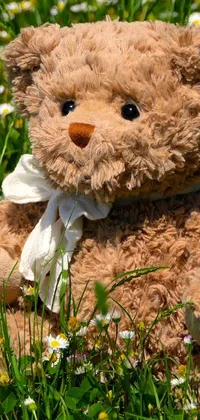 This delightful phone live wallpaper showcases a realistic brown teddy bear sitting on a lush and vibrant green field filled with daisies