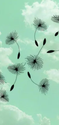 This seafoam green live wallpaper depicts a serene scene of a bunch of fluffy dandelions floating away into the sky