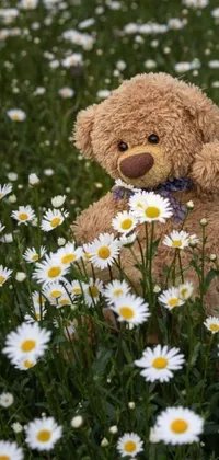 Bring some adorable charm to your phone screen with this live wallpaper featuring a cuddly teddy bear sitting in a field of pretty daisies against a bright blue sky