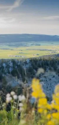 This live wallpaper features a stunning video still of a man on a horse, riding atop a lush green hillside in Montana