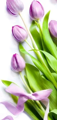 This mobile live wallpaper features a stunning digital rendering of purple tulips on a white surface
