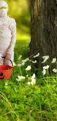 This live phone wallpaper features a mummy holding a bucket, set in a woodland glade that changes with the seasons - spring, summer, fall, and winter - with an orange and white color scheme