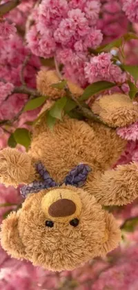 This live wallpaper showcases a delightful, stuffed teddy bear hanging from a tree branch adorned with beautiful pink flowers, hugged in a lovable pose