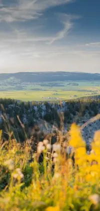 This phone live wallpaper depicts a romantic landscape with a man standing on top of a green hillside in Montana
