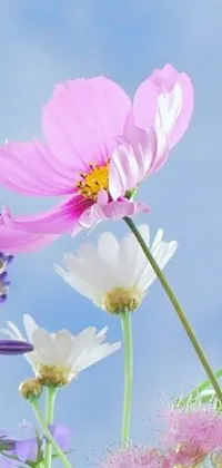 This phone live wallpaper showcases serene purple and white flowers against a beautiful blue sky