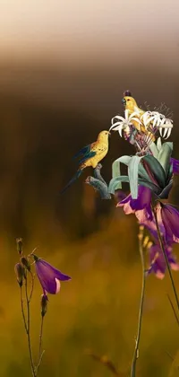 This stunning live wallpaper features two birds perched atop a beautiful purple flower