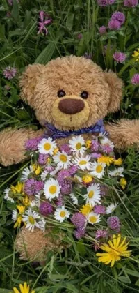 This live phone wallpaper showcases an adorable teddy bear napping in a field of flowers