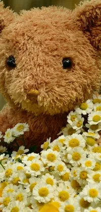 This live wallpaper showcases a charming close-up of a fluffy teddy bear that's surrounded by gorgeous daisies and other flowers