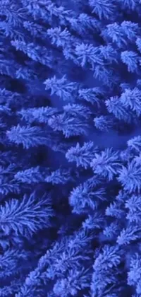 Get lost in a winter wonderland with this frosty live wallpaper for your phone