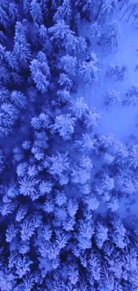 Experience the tranquility of a wintery landscape with this captivating live wallpaper for your phone