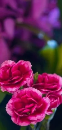 This phone live wallpaper features a vase with pink flowers on a table