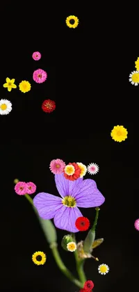 This phone live wallpaper features a purple flower against a black OLED background, creating an elegant and minimalist design