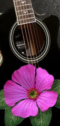 Flower Plant Guitar Live Wallpaper