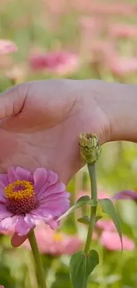 Flower Plant Hand Live Wallpaper