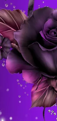 The purple rose live wallpaper is a stunning addition to any mobile device