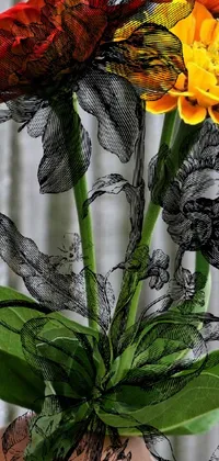 Flower Plant Indoor Live Wallpaper
