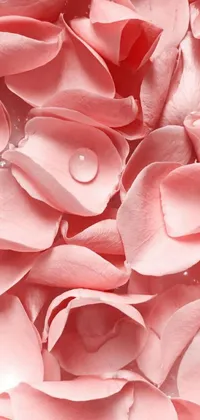 This live wallpaper for your phone is a breathtaking piece of digital art that captures bright pink rose petals in stunning detail