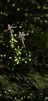 This live wallpaper showcases a mystical scene of two fairies in flight