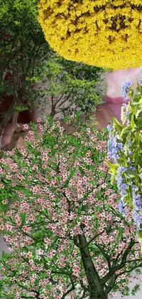 Flower Plant Leaf Live Wallpaper