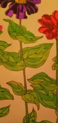 Flower Plant Leaf Live Wallpaper