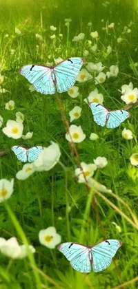 This striking live wallpaper depicts a digital rendition of beautiful blue butterflies perched atop a lush green field
