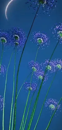 This phone live wallpaper showcases a beautiful arrangement of purple flowers with a half-moon in the background