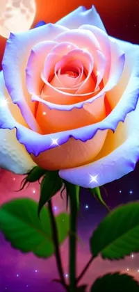 Flower Plant Light Live Wallpaper