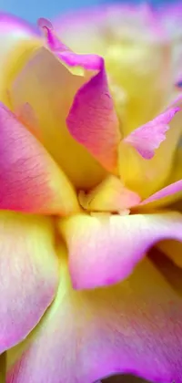Flower Plant Light Live Wallpaper