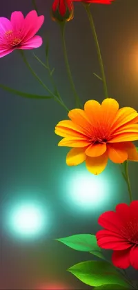 Download A beautiful vibrant display of neon flowers in bloom Wallpaper